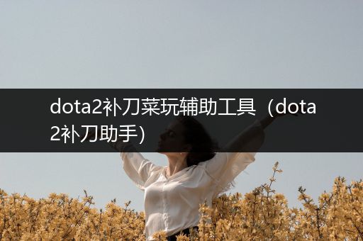 dota2补刀菜玩辅助工具（dota2补刀助手）