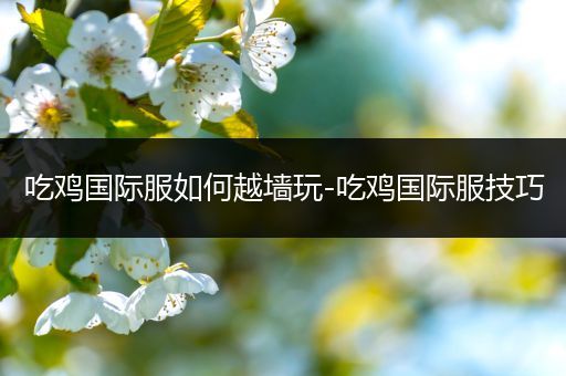 吃鸡国际服如何越墙玩-吃鸡国际服技巧