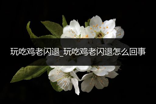 玩吃鸡老闪退_玩吃鸡老闪退怎么回事