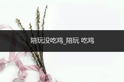 陪玩没吃鸡_陪玩 吃鸡