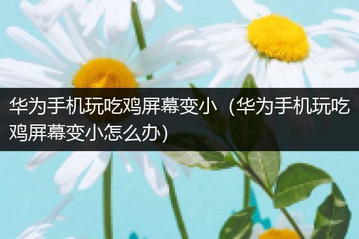 华为手机玩吃鸡屏幕变小（华为手机玩吃鸡屏幕变小怎么办）