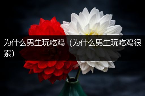 为什么男生玩吃鸡（为什么男生玩吃鸡很累）