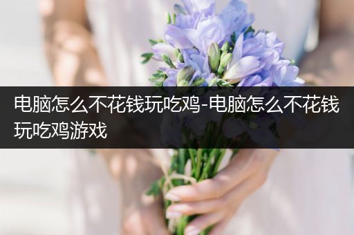 电脑怎么不花钱玩吃鸡-电脑怎么不花钱玩吃鸡游戏