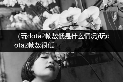 （玩dota2帧数低是什么情况)玩dota2帧数很低