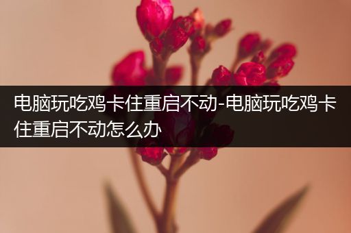 电脑玩吃鸡卡住重启不动-电脑玩吃鸡卡住重启不动怎么办