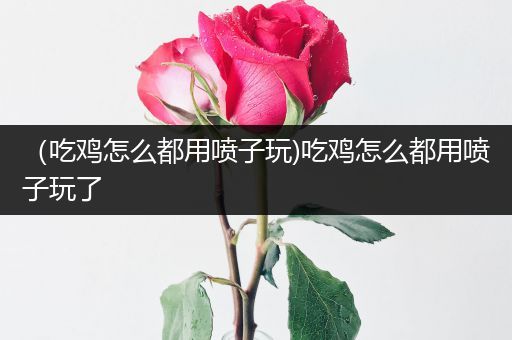 （吃鸡怎么都用喷子玩)吃鸡怎么都用喷子玩了