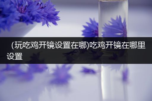 （玩吃鸡开镜设置在哪)吃鸡开镜在哪里设置