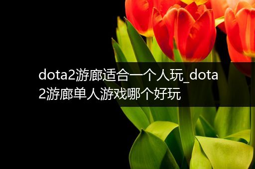 dota2游廊适合一个人玩_dota2游廊单人游戏哪个好玩