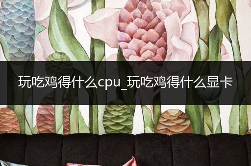 玩吃鸡得什么cpu_玩吃鸡得什么显卡