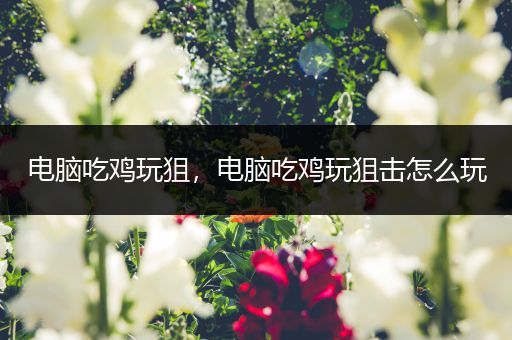 电脑吃鸡玩狙，电脑吃鸡玩狙击怎么玩