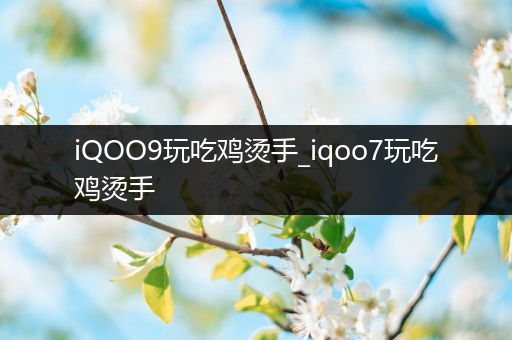 iQOO9玩吃鸡烫手_iqoo7玩吃鸡烫手