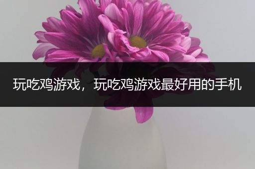 玩吃鸡游戏，玩吃鸡游戏最好用的手机