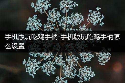 手机版玩吃鸡手柄-手机版玩吃鸡手柄怎么设置