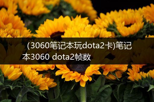 （3060笔记本玩dota2卡)笔记本3060 dota2帧数