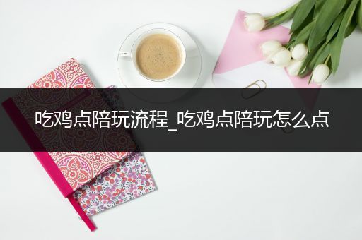 吃鸡点陪玩流程_吃鸡点陪玩怎么点