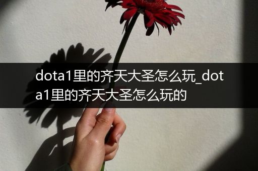 dota1里的齐天大圣怎么玩_dota1里的齐天大圣怎么玩的