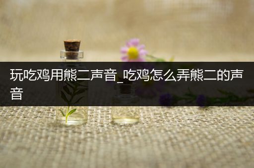 玩吃鸡用熊二声音_吃鸡怎么弄熊二的声音