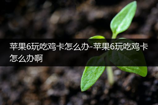 苹果6玩吃鸡卡怎么办-苹果6玩吃鸡卡怎么办啊