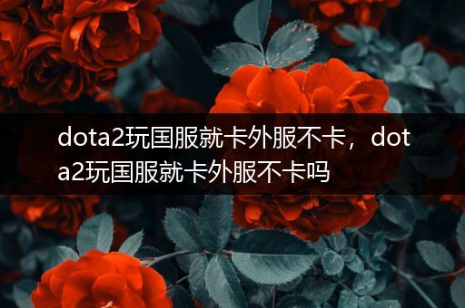 dota2玩国服就卡外服不卡，dota2玩国服就卡外服不卡吗