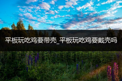 平板玩吃鸡要带壳_平板玩吃鸡要戴壳吗