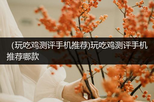 （玩吃鸡测评手机推荐)玩吃鸡测评手机推荐哪款