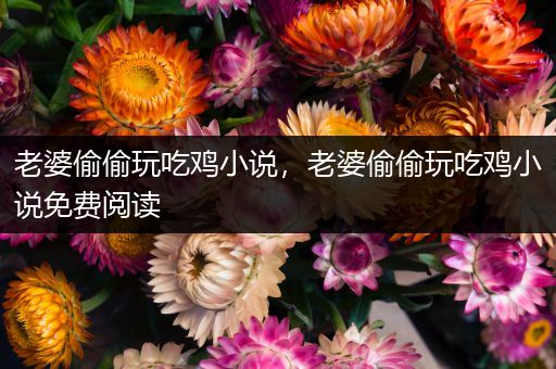 老婆偷偷玩吃鸡小说，老婆偷偷玩吃鸡小说免费阅读
