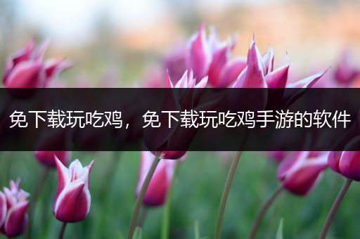 免下载玩吃鸡，免下载玩吃鸡手游的软件