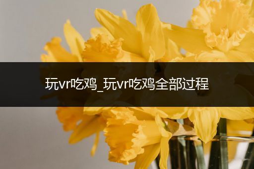 玩vr吃鸡_玩vr吃鸡全部过程