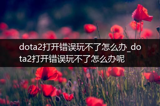 dota2打开错误玩不了怎么办_dota2打开错误玩不了怎么办呢