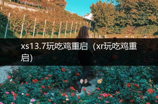 xs13.7玩吃鸡重启（xr玩吃鸡重启）