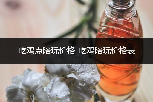 吃鸡点陪玩价格_吃鸡陪玩价格表