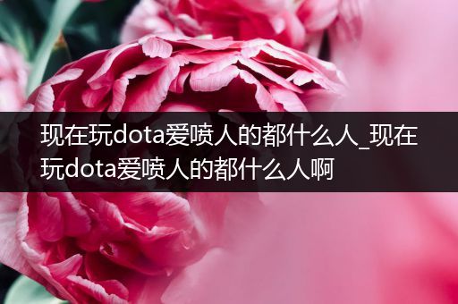 现在玩dota爱喷人的都什么人_现在玩dota爱喷人的都什么人啊