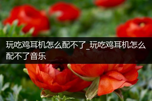玩吃鸡耳机怎么配不了_玩吃鸡耳机怎么配不了音乐