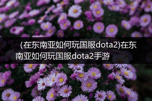 （在东南亚如何玩国服dota2)在东南亚如何玩国服dota2手游