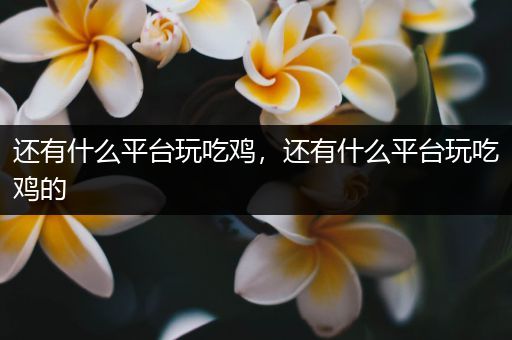 还有什么平台玩吃鸡，还有什么平台玩吃鸡的