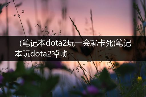 （笔记本dota2玩一会就卡死)笔记本玩dota2掉帧