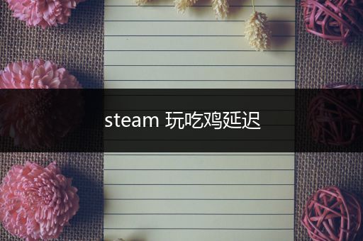 steam 玩吃鸡延迟