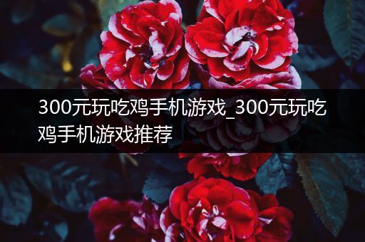 300元玩吃鸡手机游戏_300元玩吃鸡手机游戏推荐