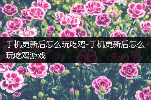 手机更新后怎么玩吃鸡-手机更新后怎么玩吃鸡游戏