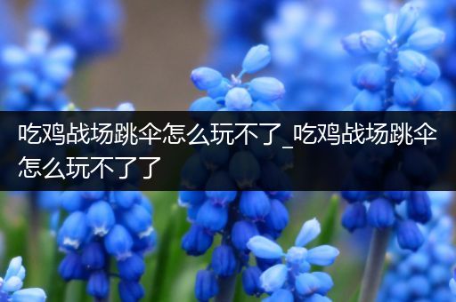 吃鸡战场跳伞怎么玩不了_吃鸡战场跳伞怎么玩不了了