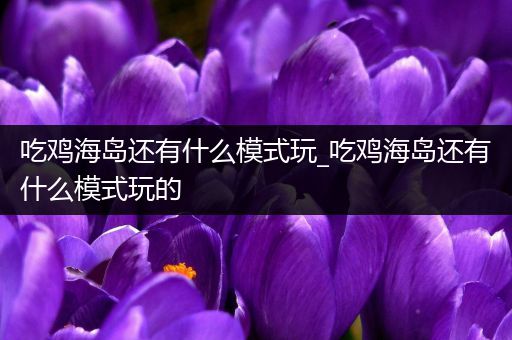 吃鸡海岛还有什么模式玩_吃鸡海岛还有什么模式玩的