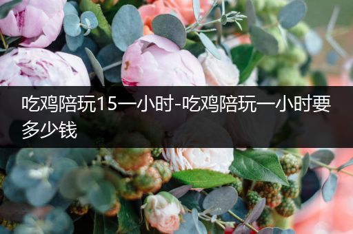 吃鸡陪玩15一小时-吃鸡陪玩一小时要多少钱