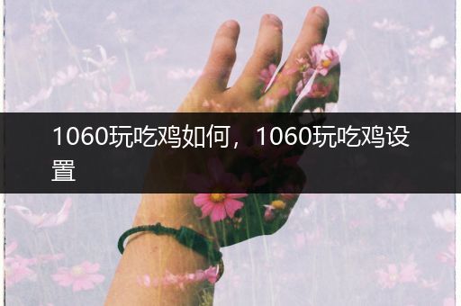 1060玩吃鸡如何，1060玩吃鸡设置