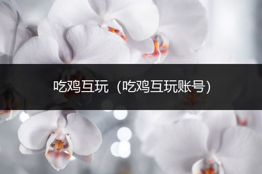 吃鸡互玩（吃鸡互玩账号）
