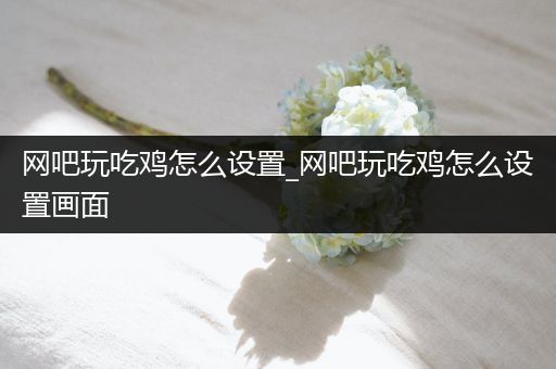 网吧玩吃鸡怎么设置_网吧玩吃鸡怎么设置画面