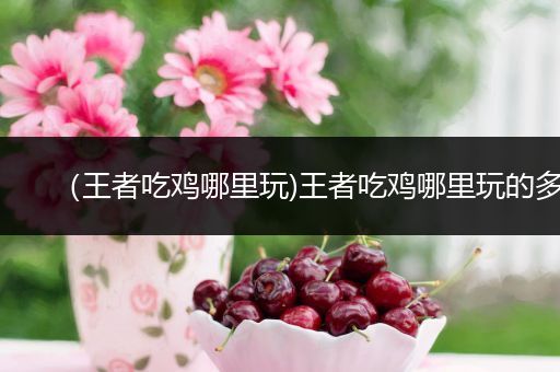 （王者吃鸡哪里玩)王者吃鸡哪里玩的多