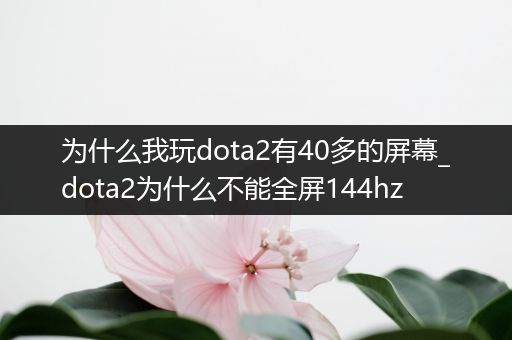 为什么我玩dota2有40多的屏幕_dota2为什么不能全屏144hz