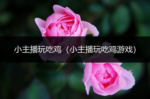 小主播玩吃鸡（小主播玩吃鸡游戏）