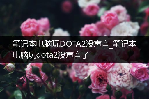 笔记本电脑玩DOTA2没声音_笔记本电脑玩dota2没声音了