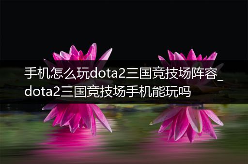 手机怎么玩dota2三国竞技场阵容_dota2三国竞技场手机能玩吗
